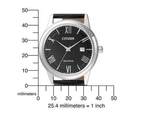 Zegarek Citizen AW1231-07E (AW123107E)