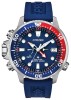 Zegarek Citizen BN2038-01L (BN203801L)