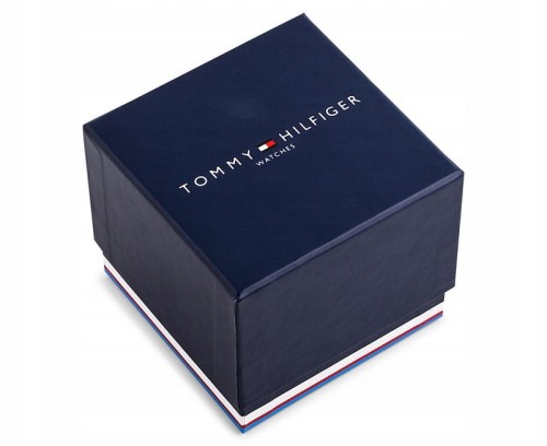 Zegarek Tommy Hilfiger Daniel 1710415 (TH1710415)