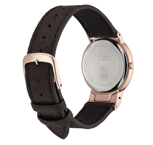 Zegarek Citizen EG7072-19X (EG707219X)