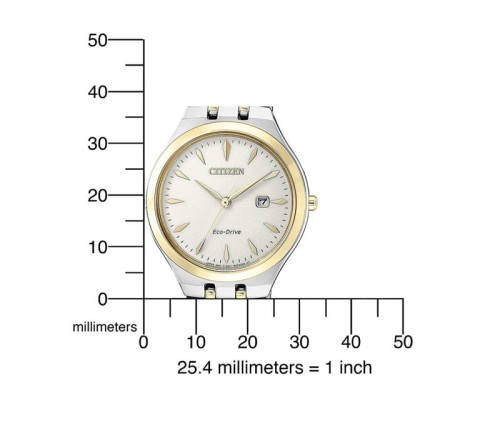 Zegarek Citizen EW2494-89B (EW249489B)
