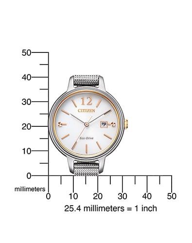 Zegarek Citizen EW2449-83A (EW244983A)