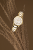 Zegarek Certina DS 6 Lady COSC C039.251.33.017.00 (C0392513301700)