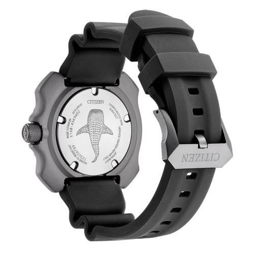Zegarek Citizen Promaster Diver Titanium BN0225-04L (BN022504L)