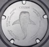 Zegarek Citizen Promaster Diver Titanium BN0225-04L (BN022504L)