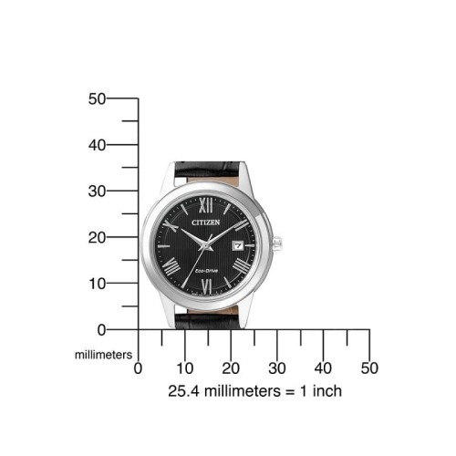 Zegarek Citizen FE1081-08E (FE108108E)