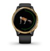Zegarek GARMIN VENU 43MM 010-02173-33 SMARTWATCH DAMSKI AMOLED BLACK GOLD GPS (0100217333)