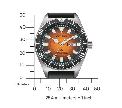 Zegarek Citizen Promaster Automatic Diver NY0120-01ZE (NY012001ZE)