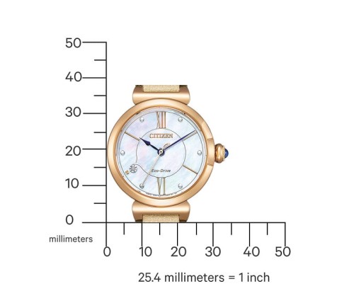 Zegarek Citizen EM1073-18D (EM107318D)