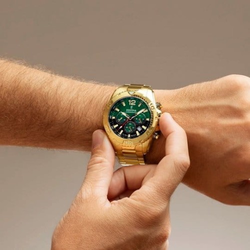 Zegarek Festina Timeless Chronograph 20684/3 (F20684/3)