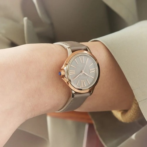 Citizen Eco Drive EM1166-01Z