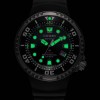 Zegarek Citizen Promaster Marine Professional Diver 300M BN102401E
