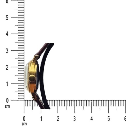slava-podzialka-pion