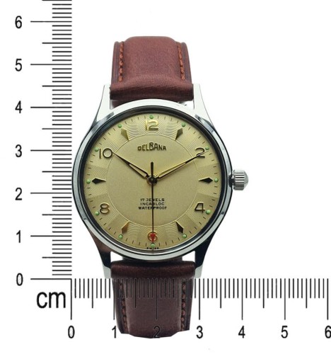 Piękna Delbana 17 Jewels F465 - Złota tarcza, idealny stan!