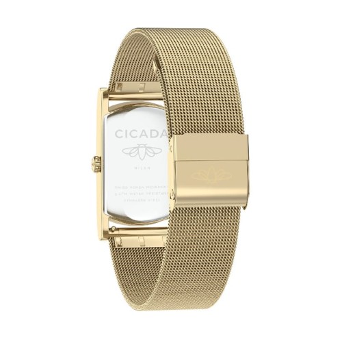 Zegarek Cicada Piazza Priori G20G06.W4 (G20G06W4)