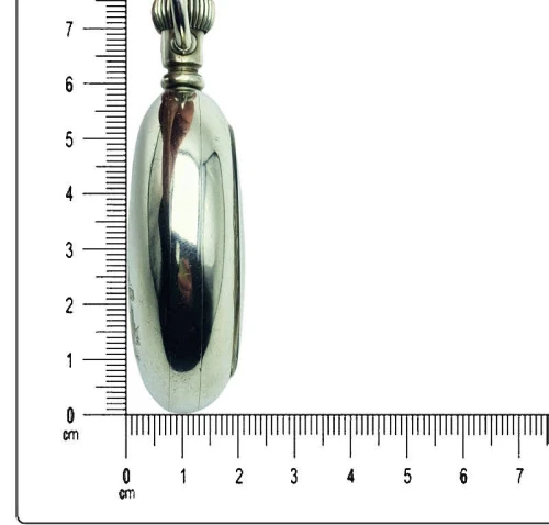 Waltham Pocket Watch 18s Model 1899 - koperta Silverode z lokomotywą!