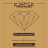 DiamentyRoamer