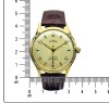 Delbana 17 Jewels Incabloc F465 - piękna renowacja!