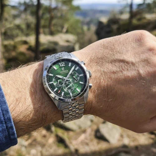 Zegarek Festina Timeless Chronograph F20742/5
