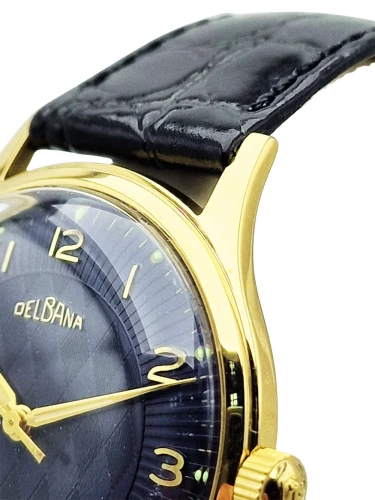 Delbana 17 Jewels F465 - Gliszowana tarcza!