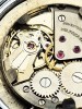 Delbana 17 Jewels Incabloc ETA 1080 - piękna renowacja!
