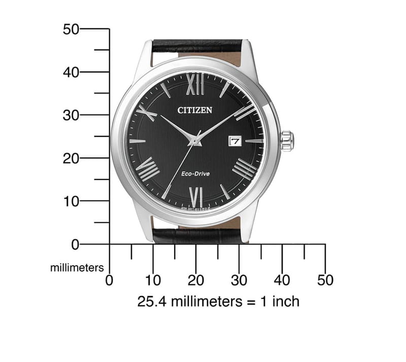 Zegarek Citizen AW1231-07E (AW123107E)