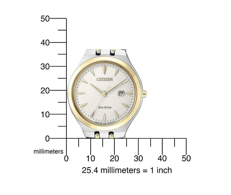 Zegarek Citizen EW2494-89B (EW249489B)