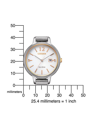 Zegarek Citizen EW2449-83A (EW244983A)