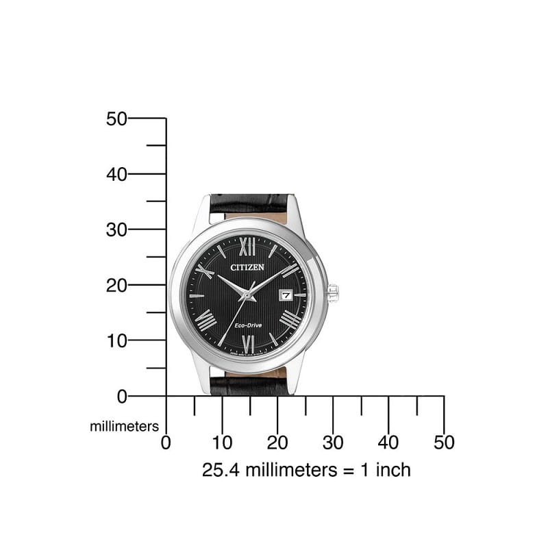 Zegarek Citizen FE1081-08E (FE108108E)