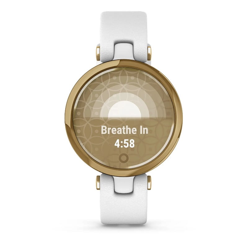 Zegarek GARMIN LILY 010-02384-B3 SMARTWATCH JASNOZŁOTA RAMKA 01002384B3