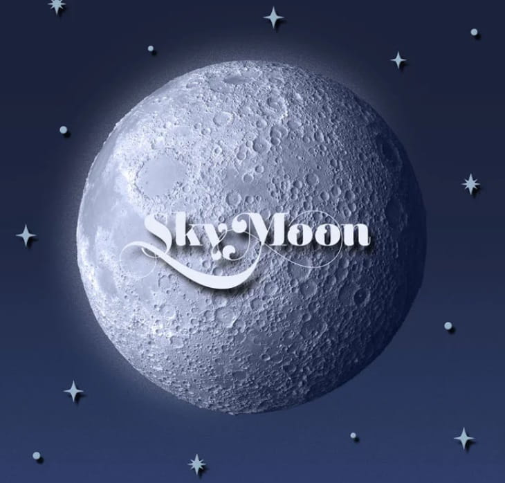 Zegarek Aviator  Douglas Moonflight V.1.33.0.255.5 (V13302555)