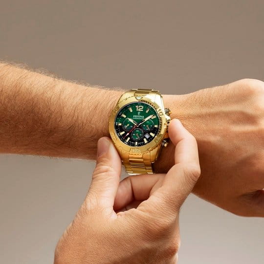 Zegarek Festina Timeless Chronograph 20684/3 (F20684/3)
