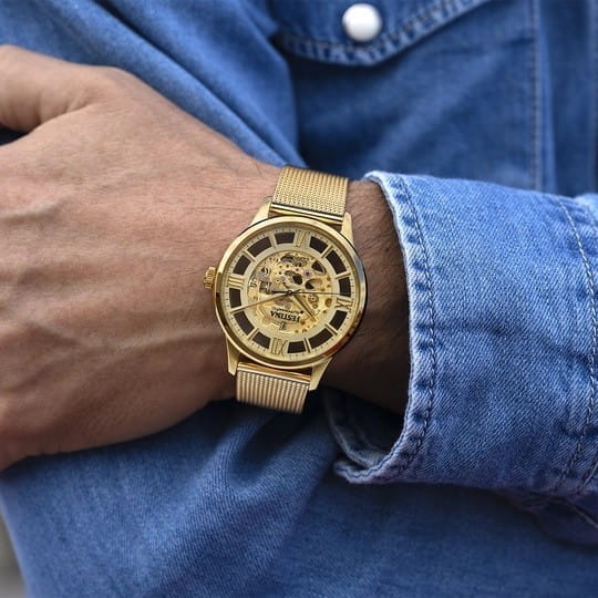Zegarek Festina Automatic Skeleton 20667/1 (F20667/1)