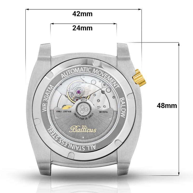 Balticus BALDWOB Kraków