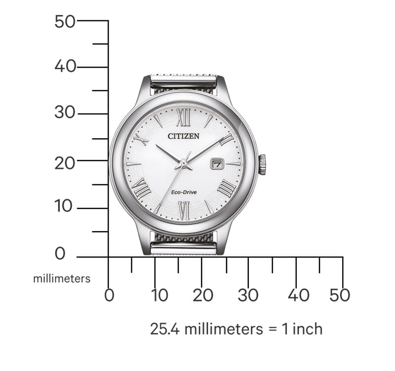 zegarmistrz Zegarek Citizen Eco Drive Dress EW2621-75A (EW262175A)