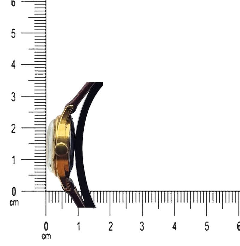 slava-podzialka-pion