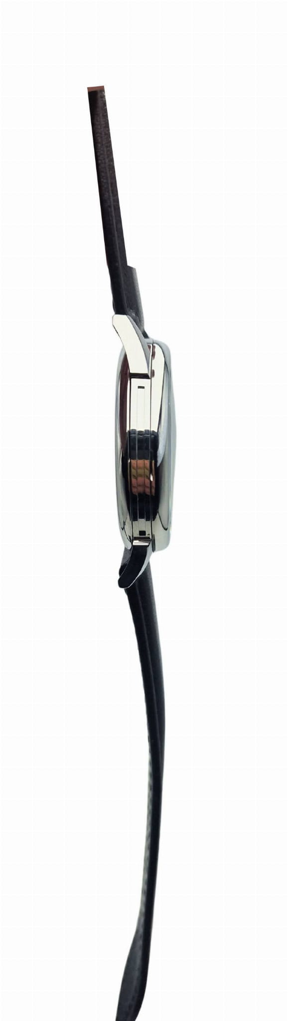 Molnija Pasówka Cal. 3602 - Piękna adaptacja!