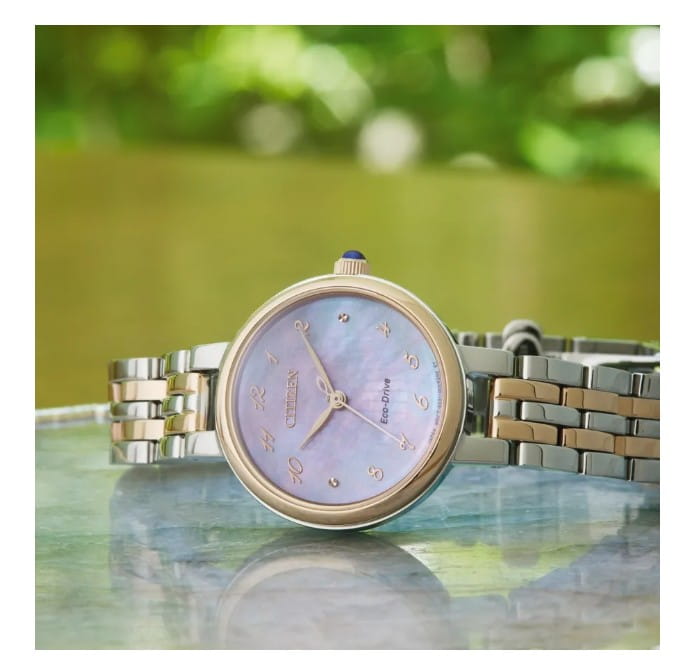 Zegarek Citizen L EM0996-84Y (EM099684Y)