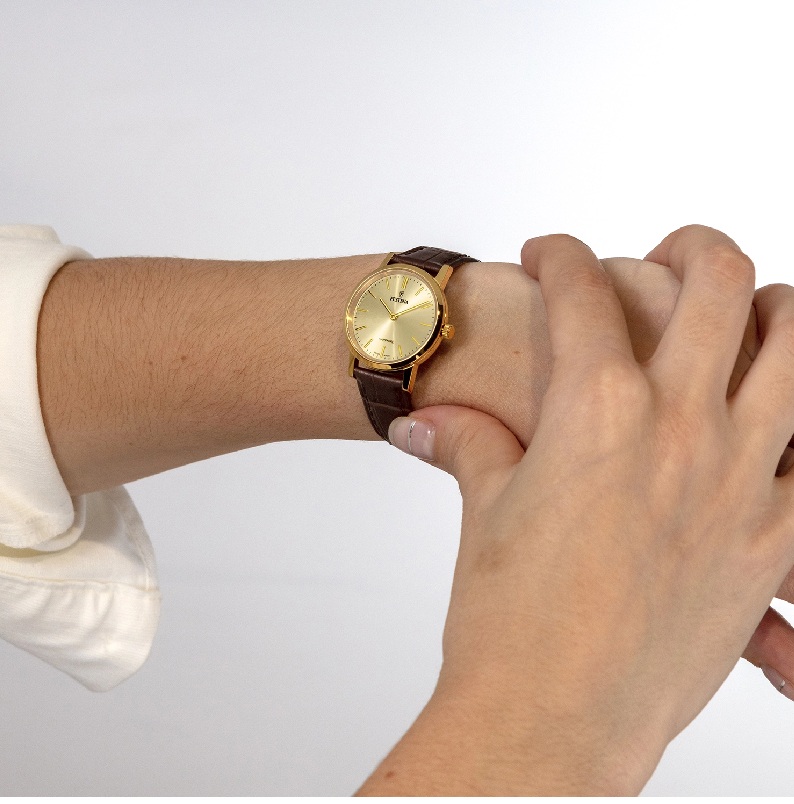 Zegarek Festina Swiss Made 20017/2 (20017/2)