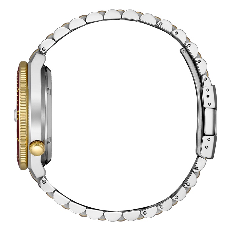 Zegarek Citizen NJ0234-58X